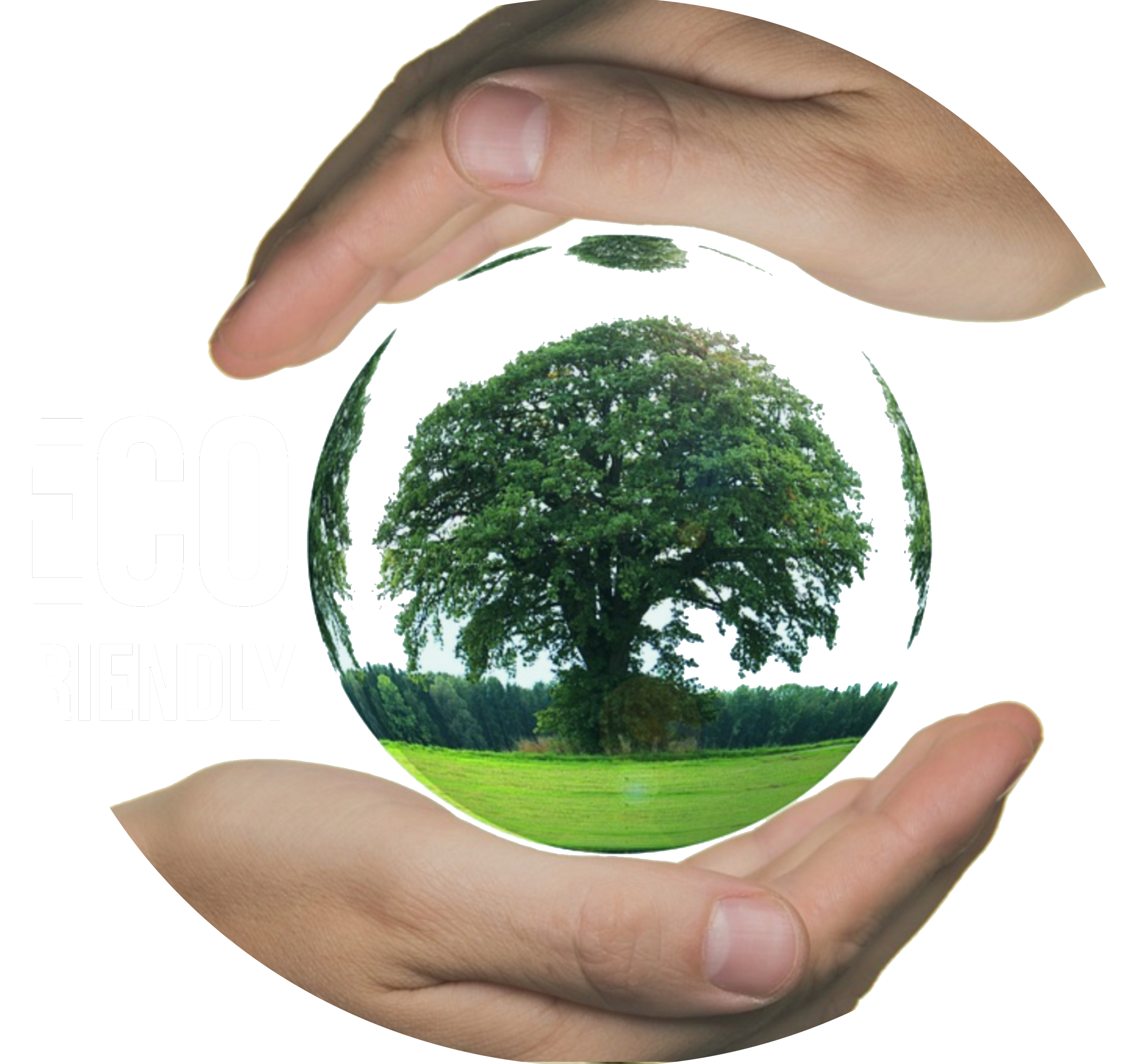 Eco Friendly Services